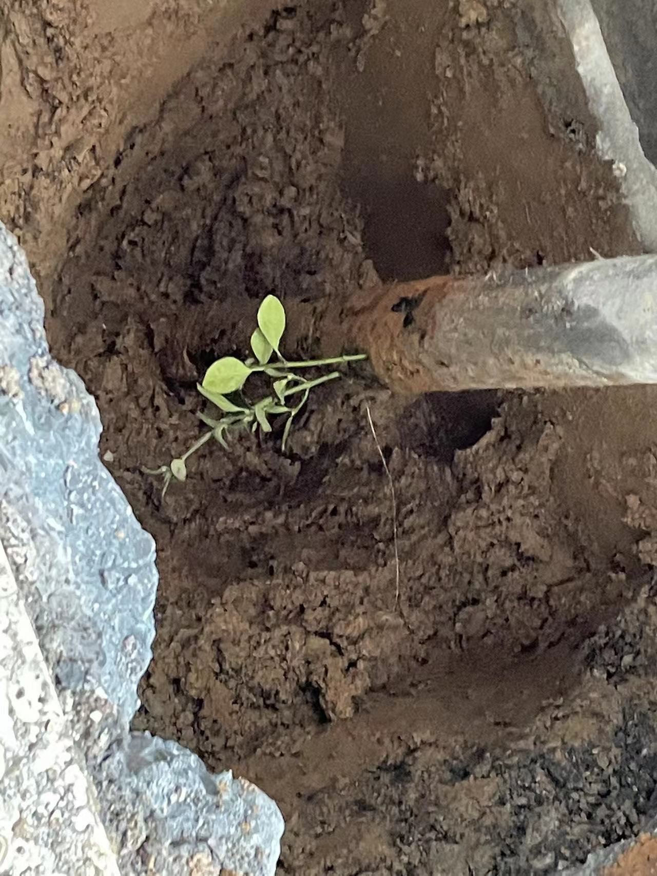 鎮江消防管測漏水案例
